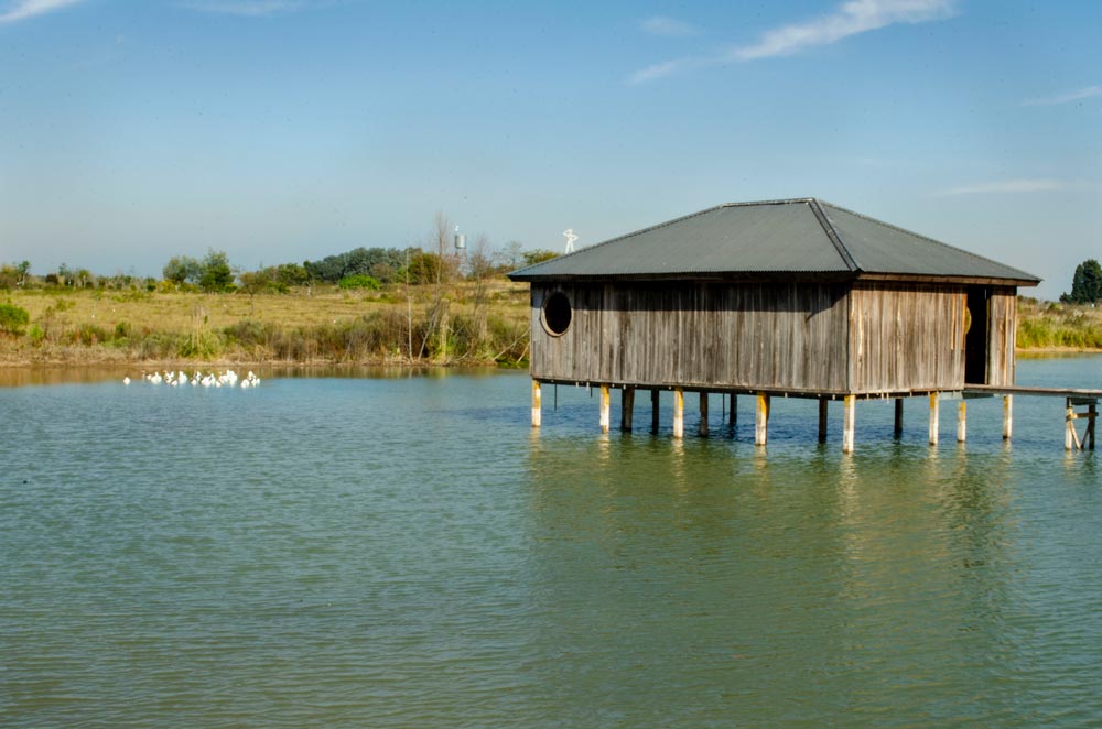 Una casa en medio de un lago